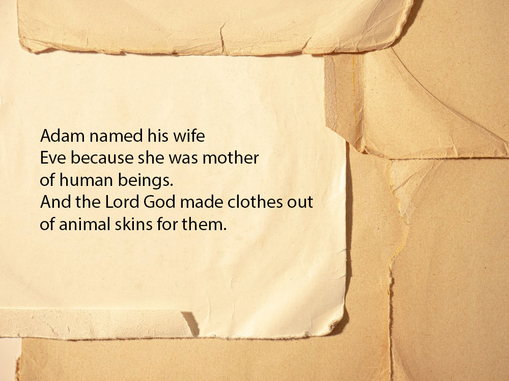 Tanka Testament