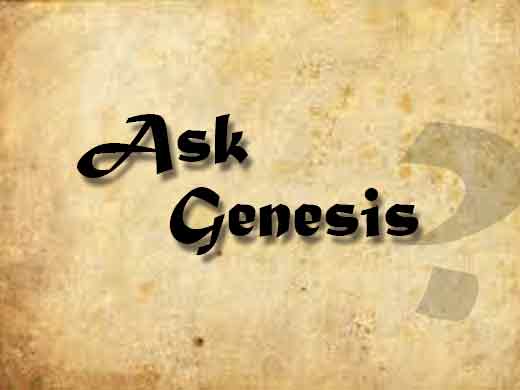 Ask Genesis 2015 part 1