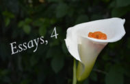 Essays, 4