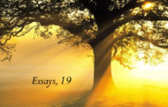 Storms – and Sushines – of Life