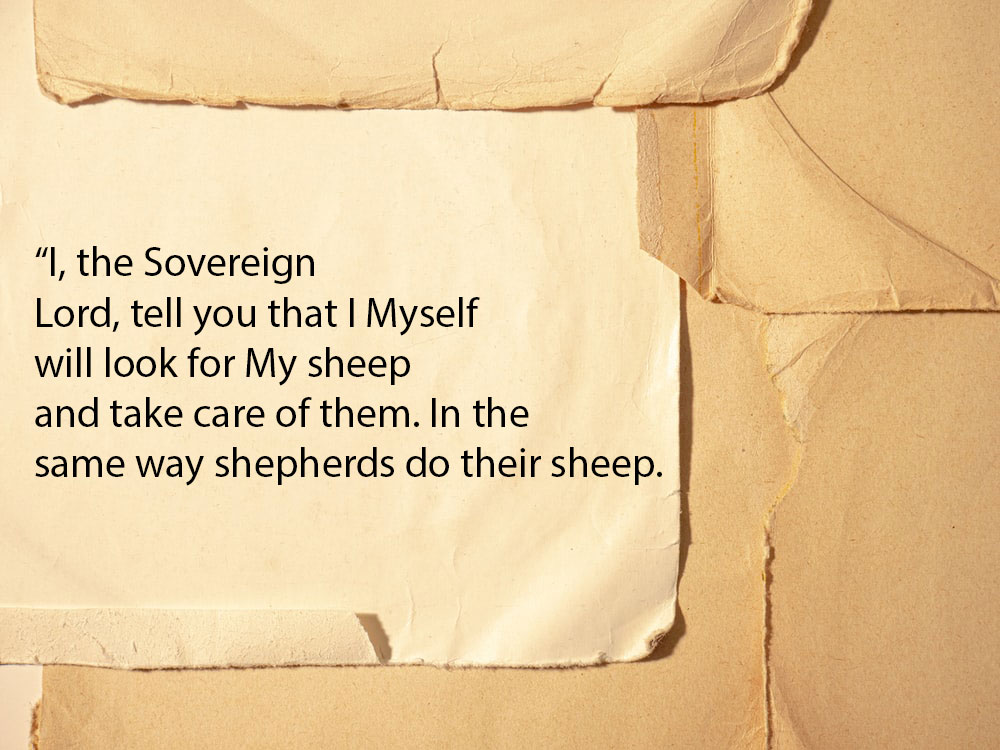 Tanka Testament