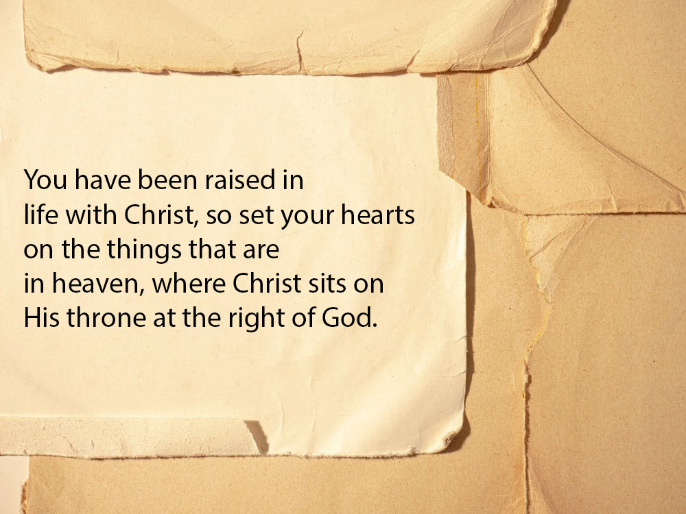 Tanka Testament